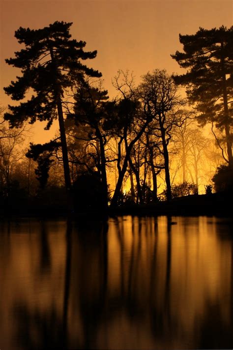 bois de boulogne la nuit|Guide To The Bois de Boulogne 